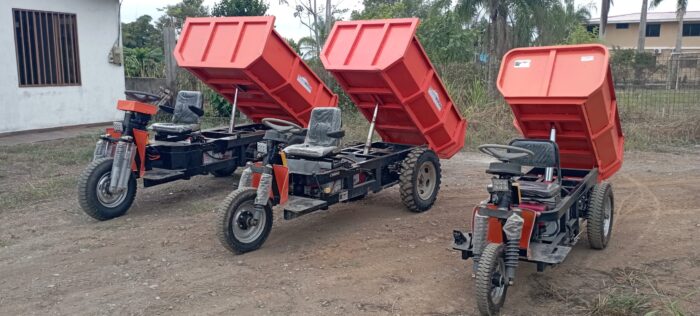 MINIDUMPERS ELECTRICOS - Imagen 3